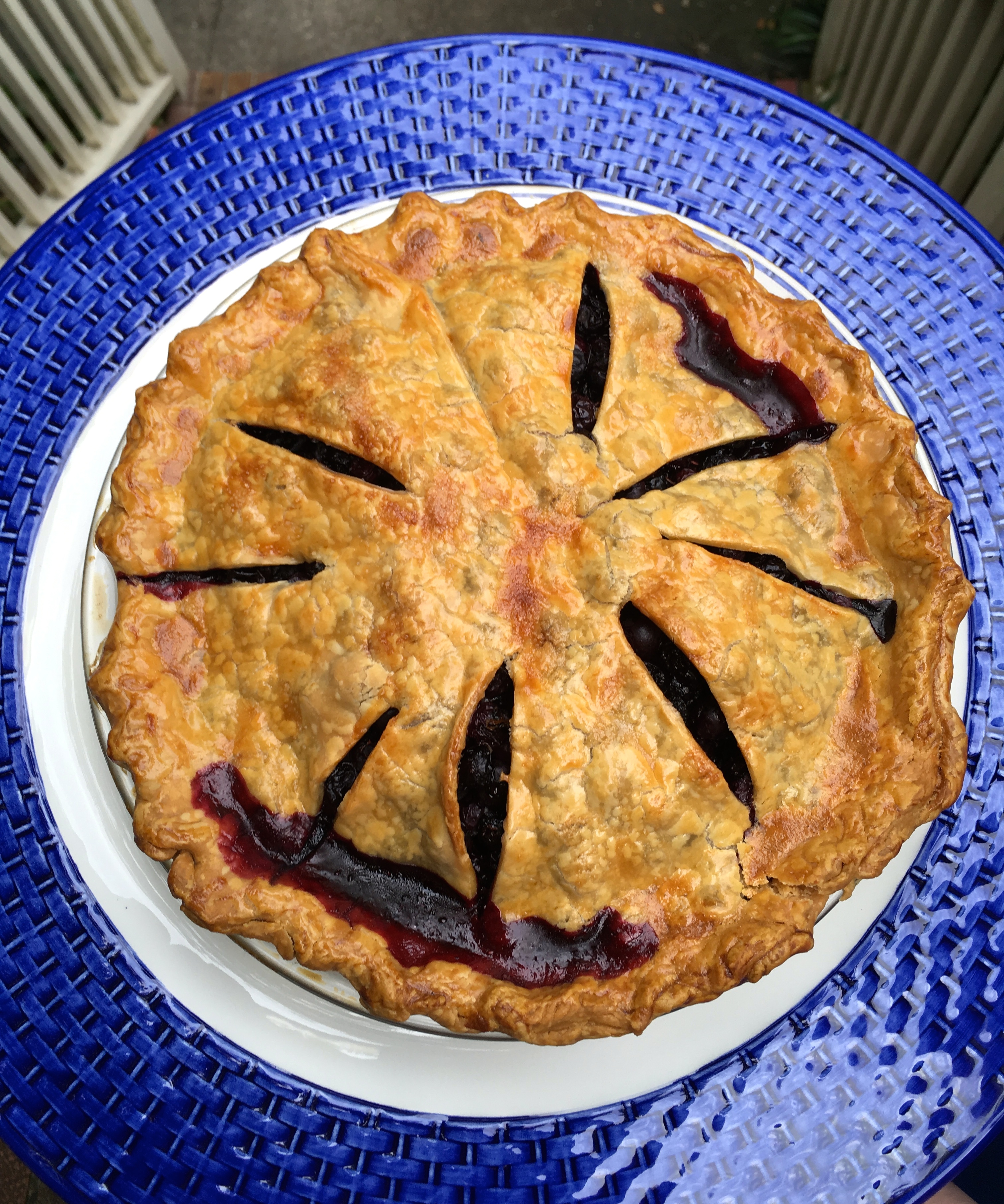 Dorothy's Blueberry pie